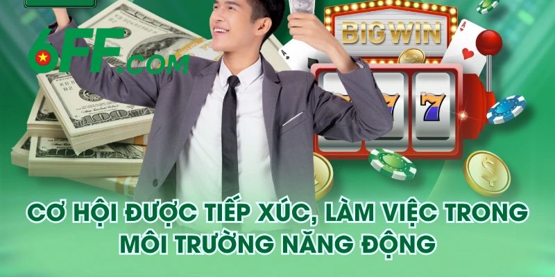 Đại Lý 6FF - Cơ Hội Làm Giàu Bất Tận Với Hoa Hồng 3% 1 Những đầu việc cần phải làm của đại lý 6FF