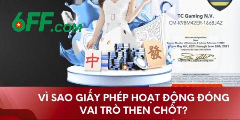 Giấy Phép Hoạt Động 6FF – Minh Chứng Cho Sự Uy Tín Số #1 2 Tìm hiểu chi tiết về giấy phép hoạt động 6FF